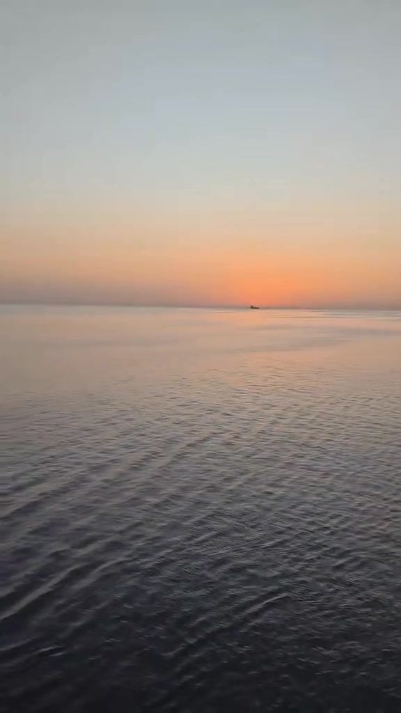 @MOHAMED HASSAN Rezk