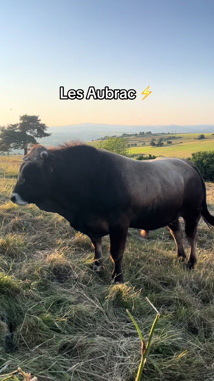 @🌾j'aime pas les veganes 🌾