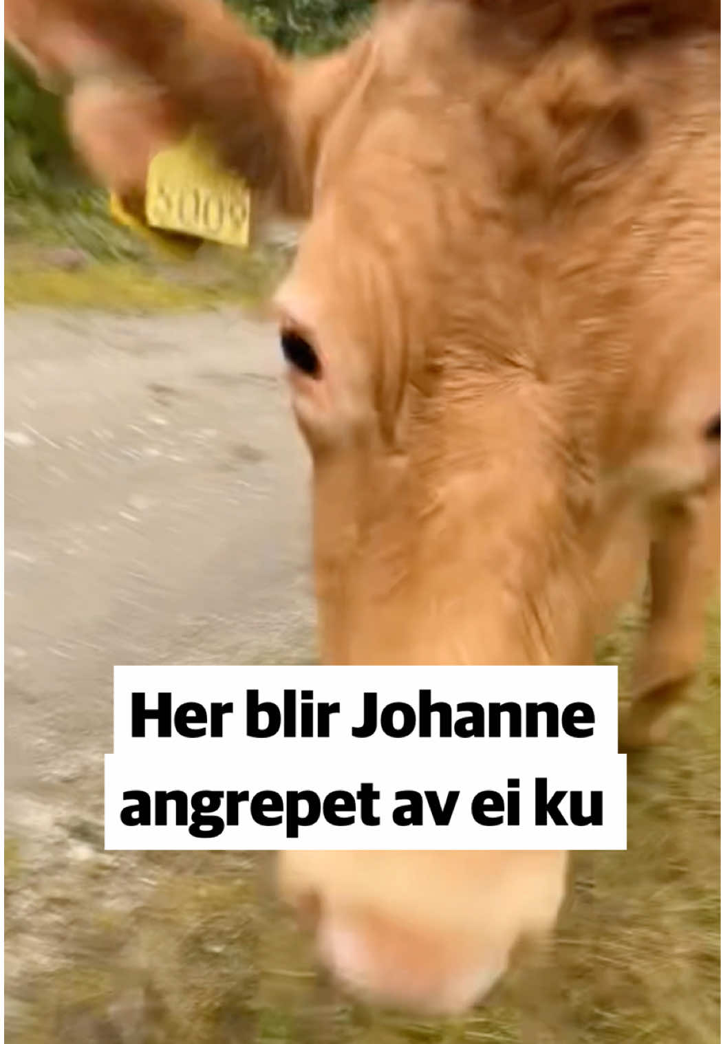 @Trønder-Avisa