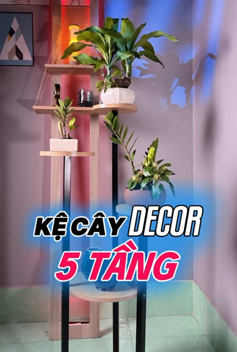@DƯA LEO TopTop
