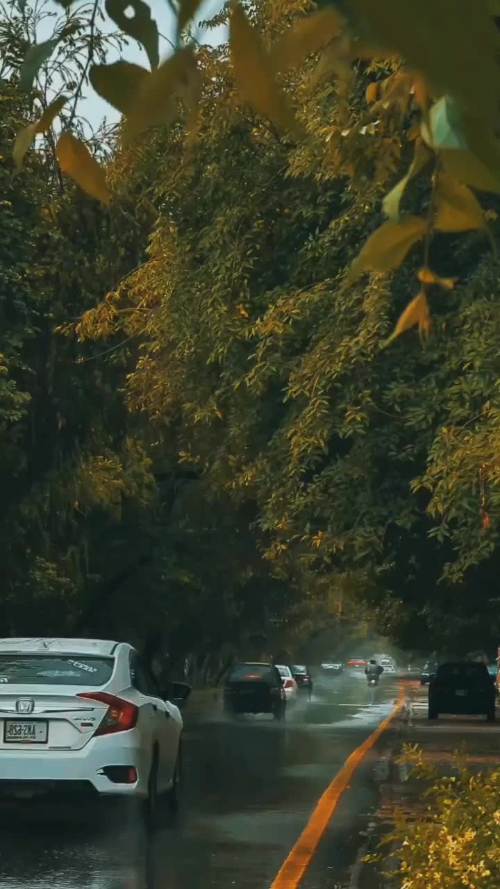 @i̴t̴’s̴_a̴i̴n̴a̴✨