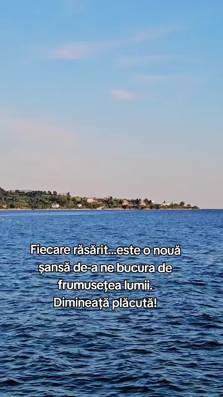 @Nița Foitoș