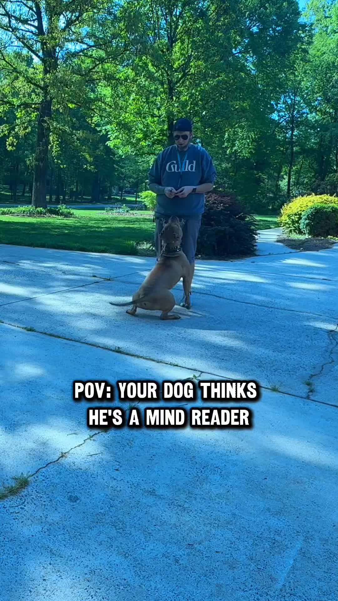 @Lost Boys K9 Academy