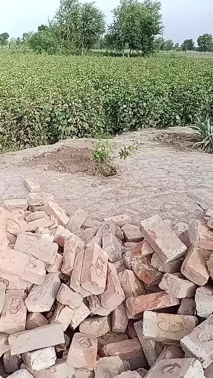 @jugnoo rajpoot 🦚