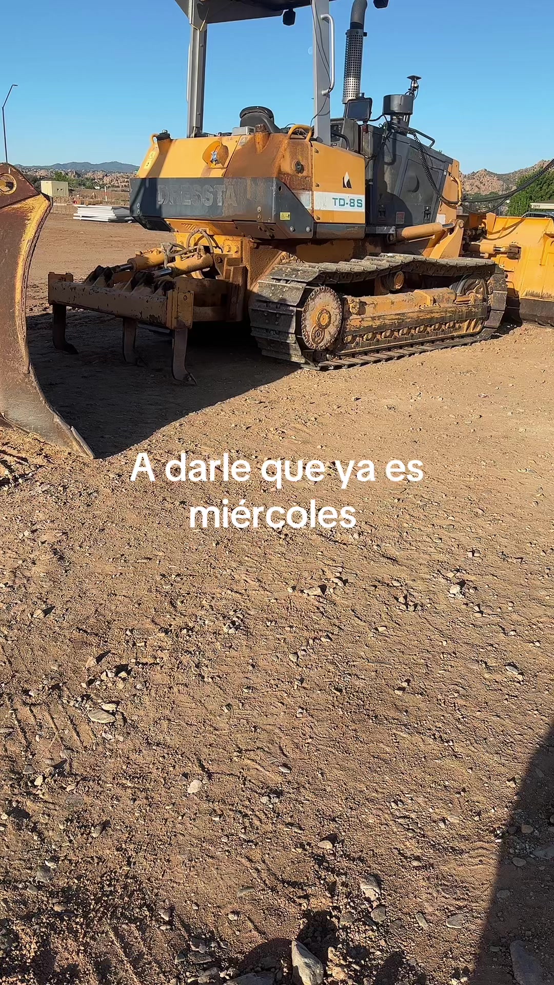 @Cristobal lince