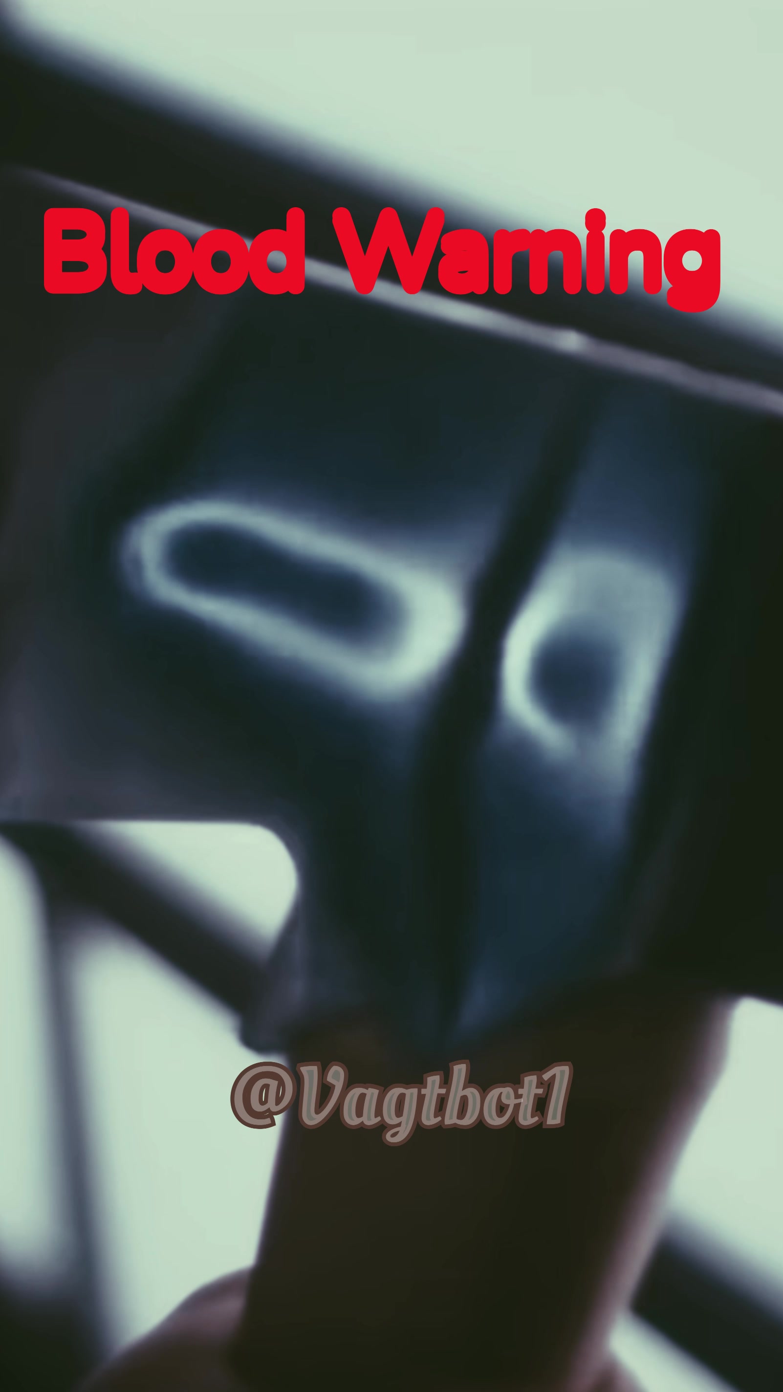 @vagtbot1