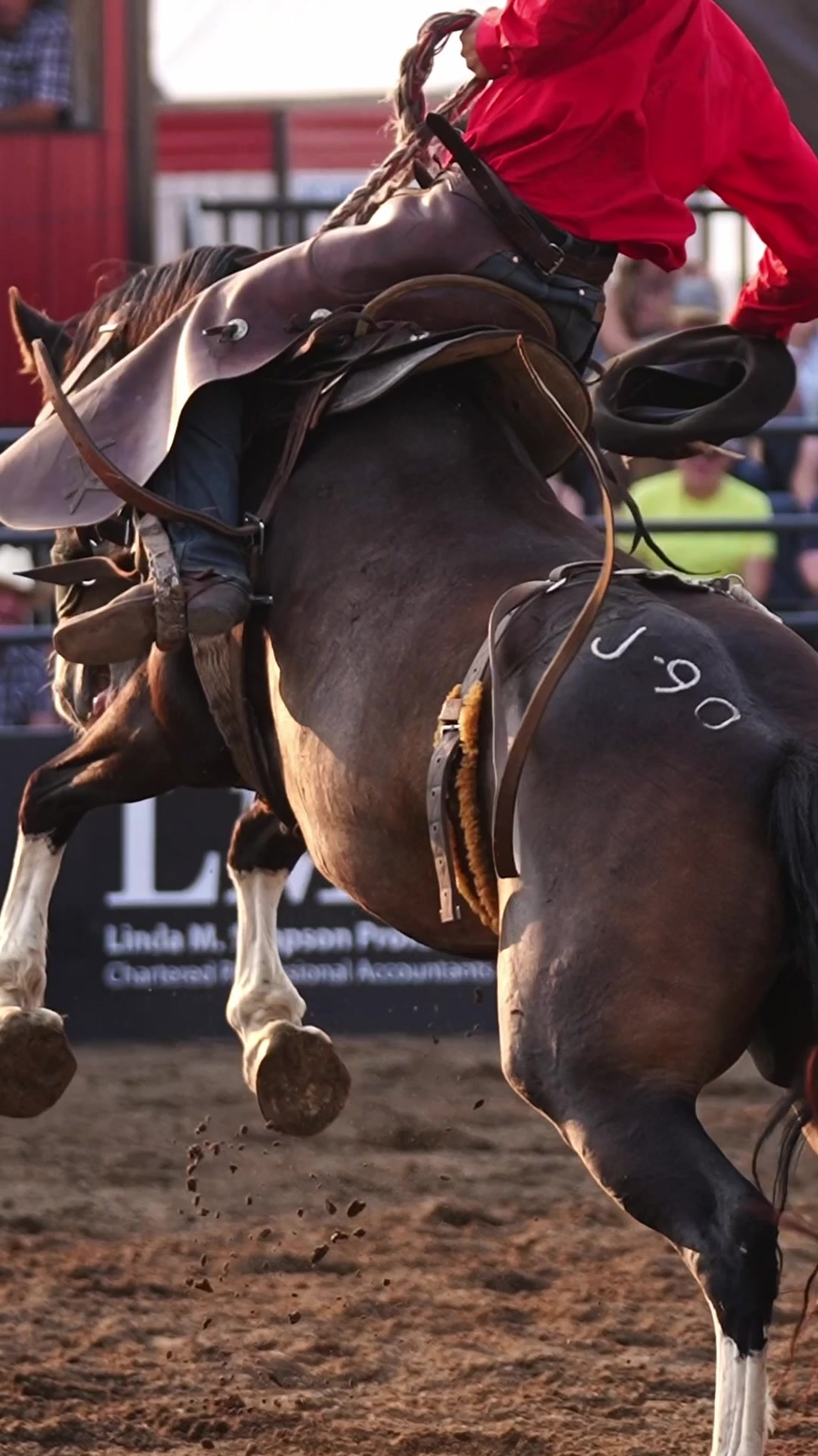 @Hanginghorses
