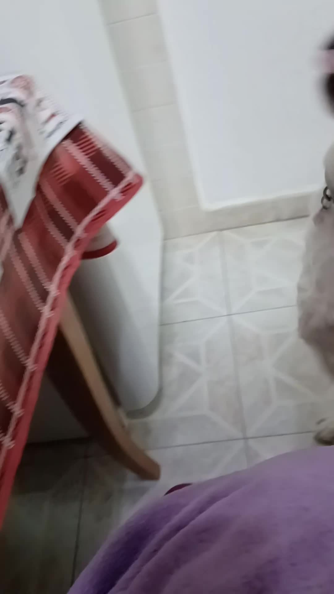 @leyla