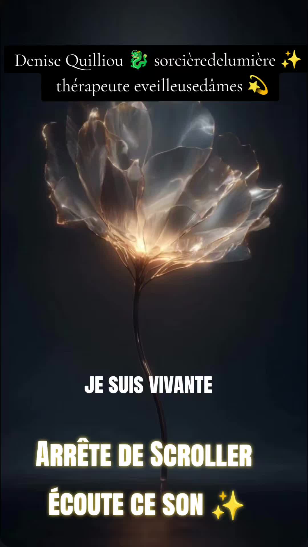 @Lauret Denise ✨🐉✨