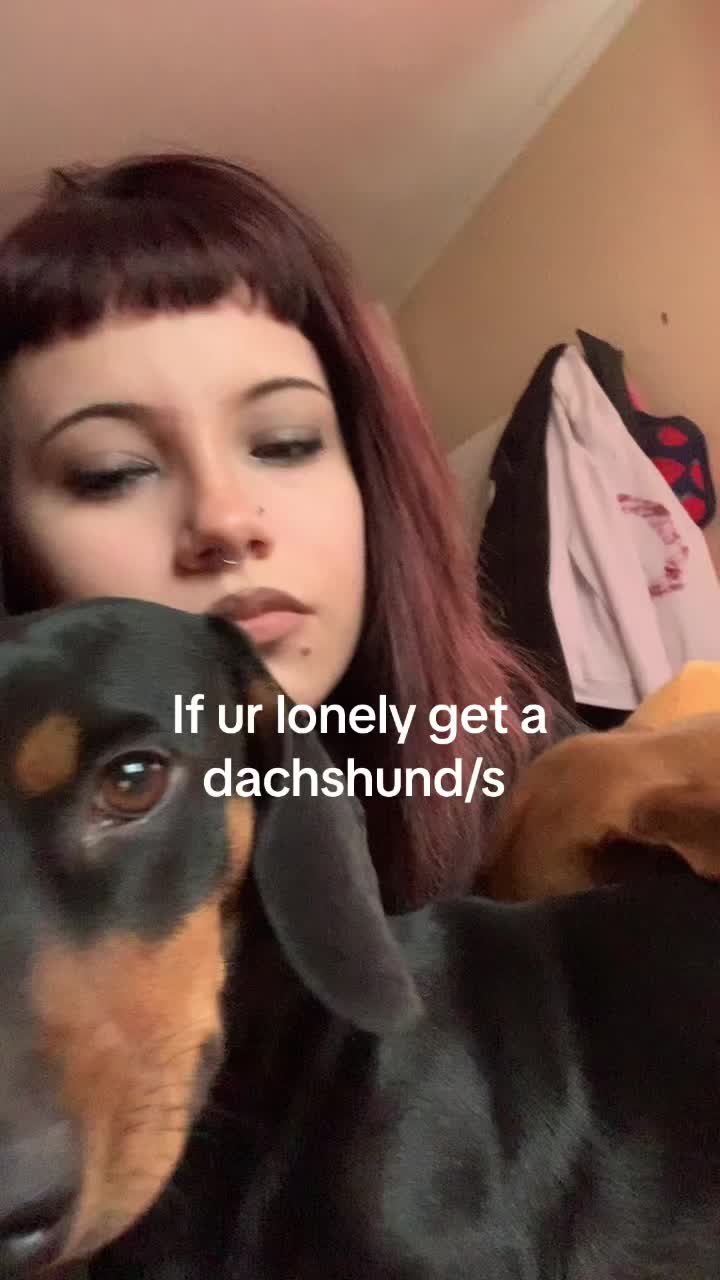 @Bogca