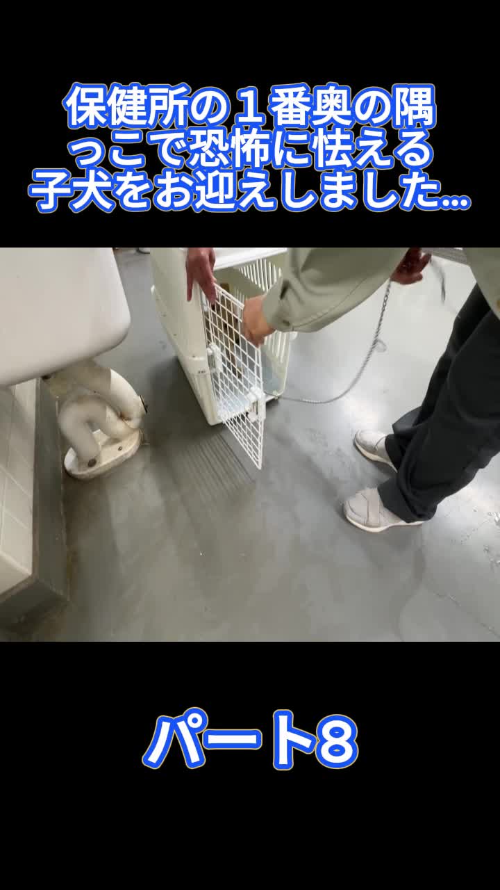 @ブルドッグぶるまるチャンネル Fan