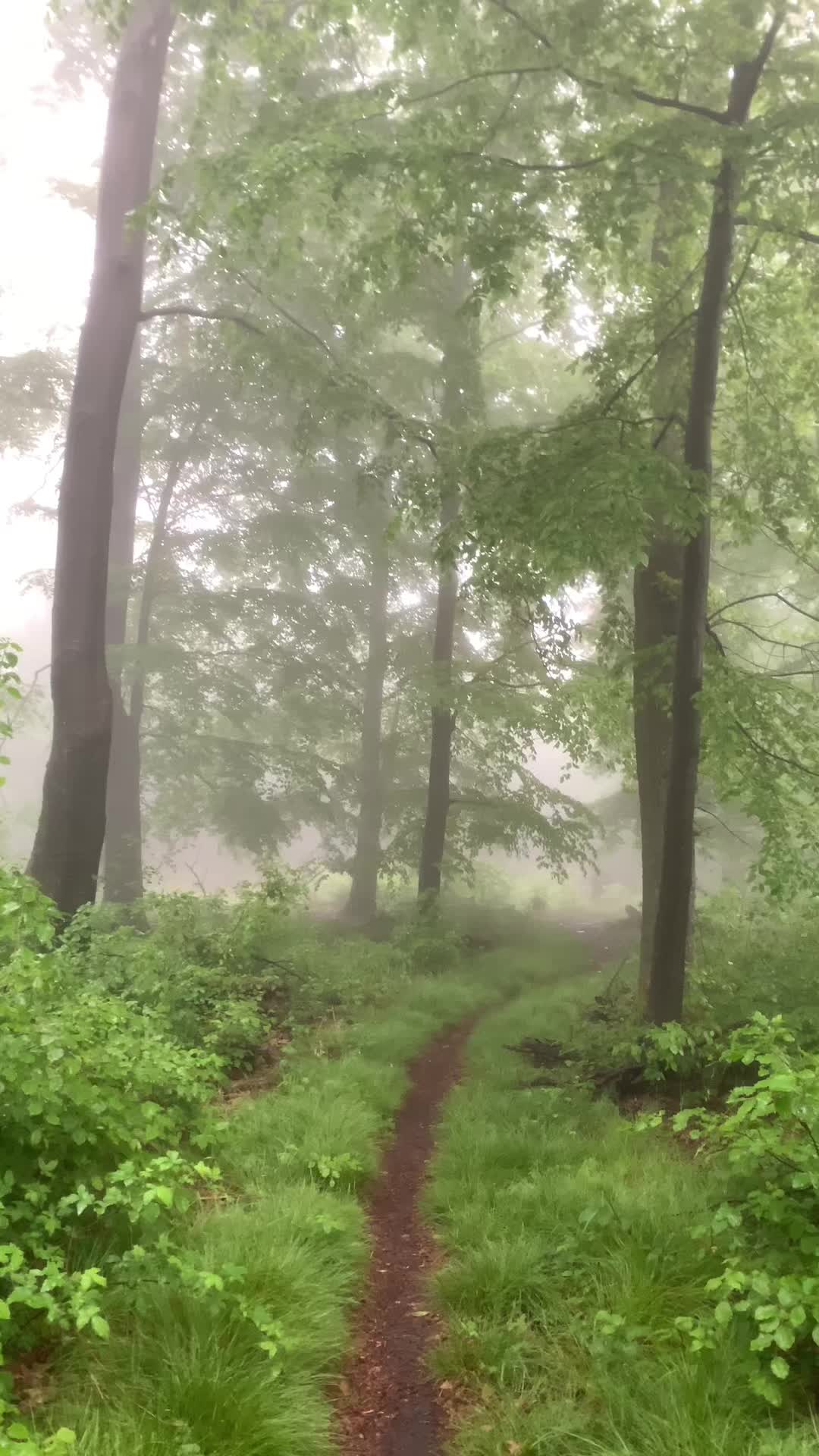 @Michal Botansky
