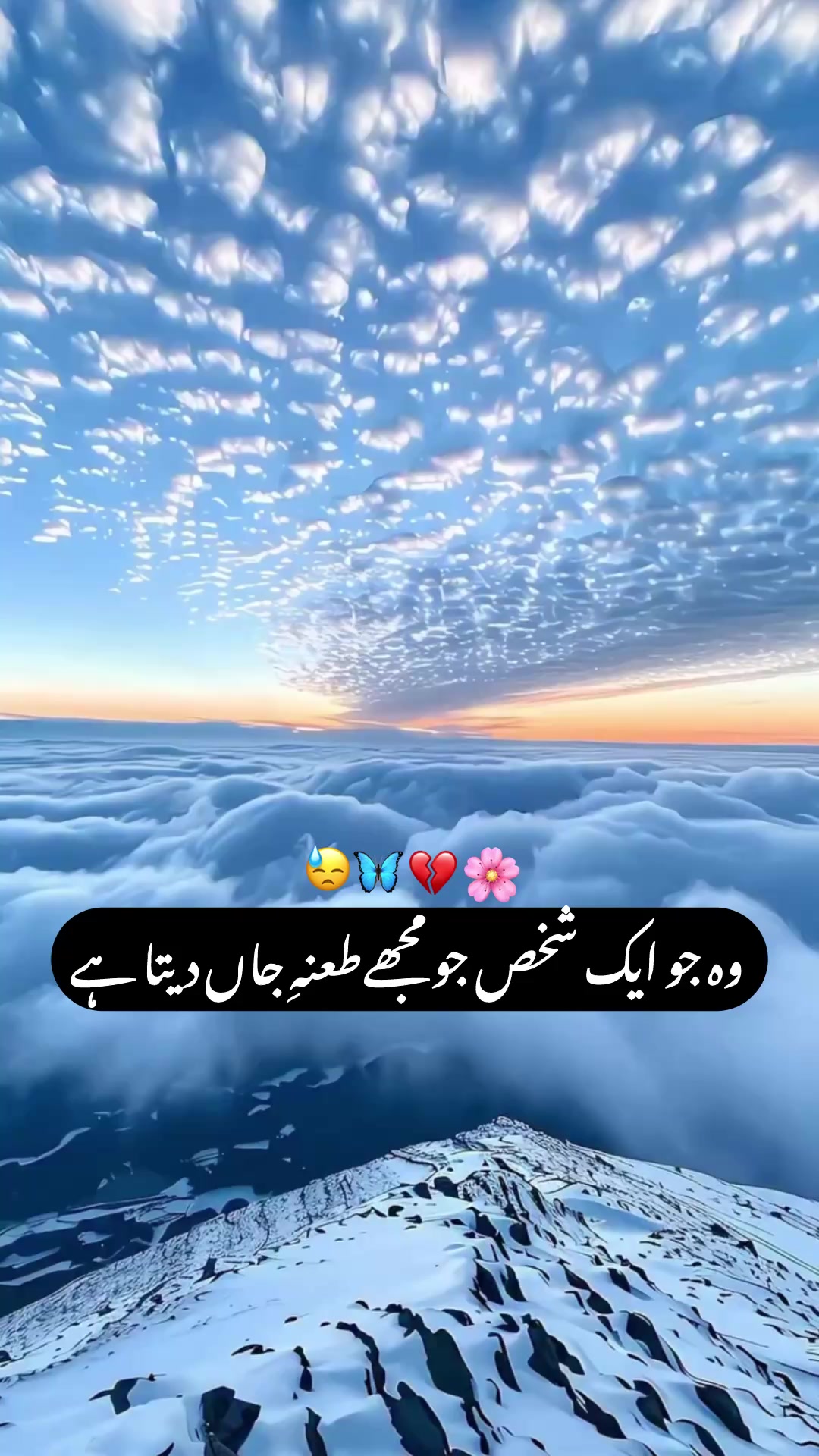 @Kaif Oyun