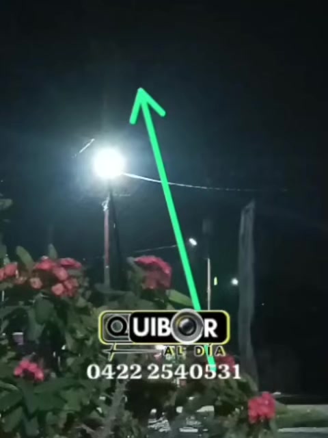 @Quiboraldia