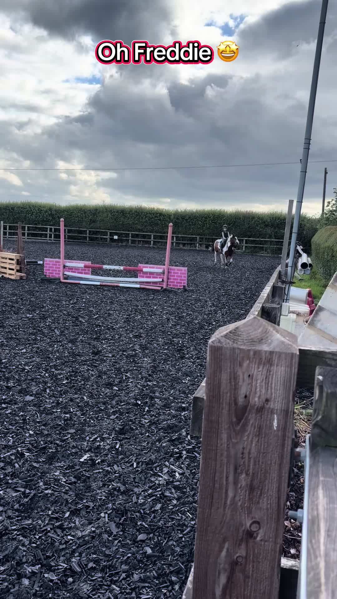 @Nina&rsquo;s Pony Adventures ❤️
