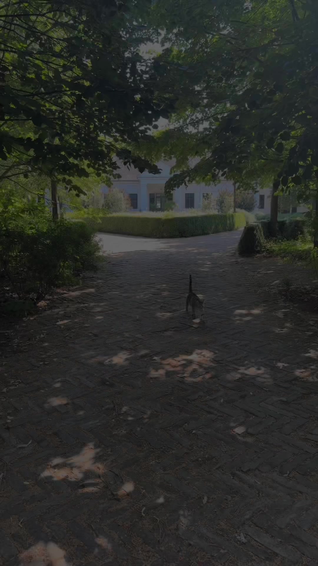 @Nagy Viki
