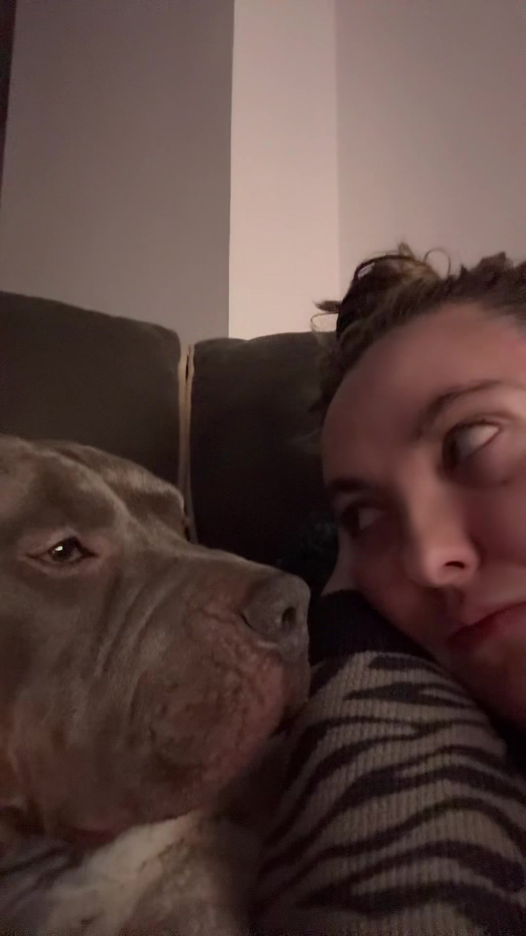 @Uk_dogs.