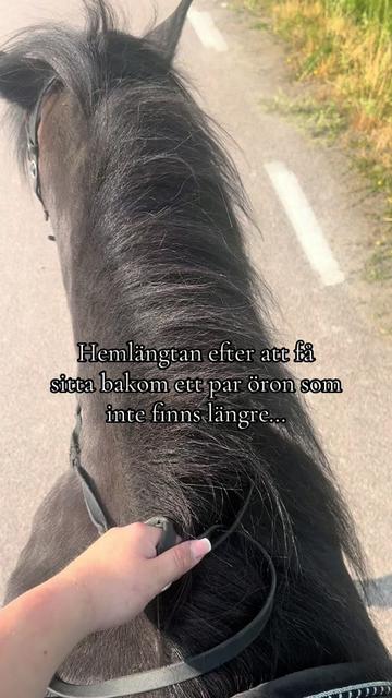 @Ninni Victoria Baringson