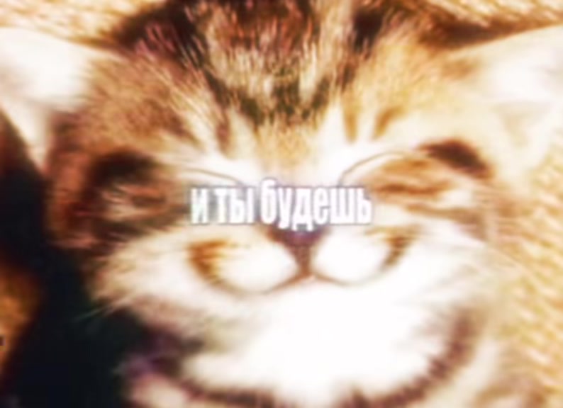 @#wax[щп][🧪]