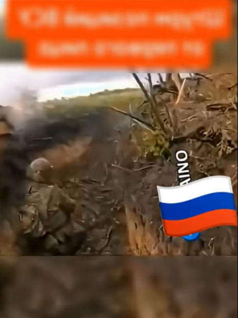 @user4833867553684