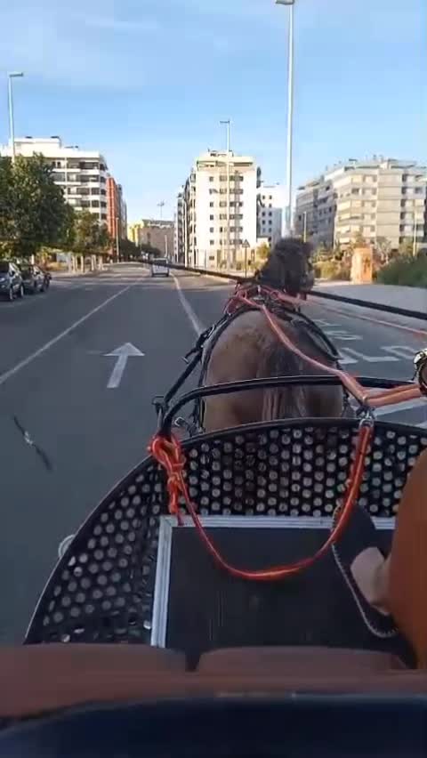 @laferrarilamercedes