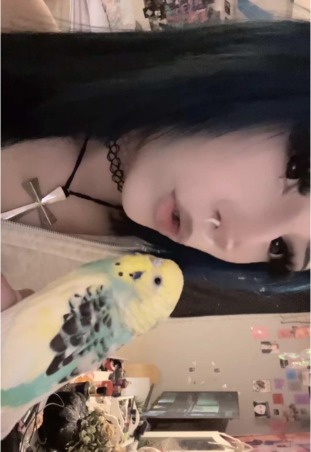 @trapgoose