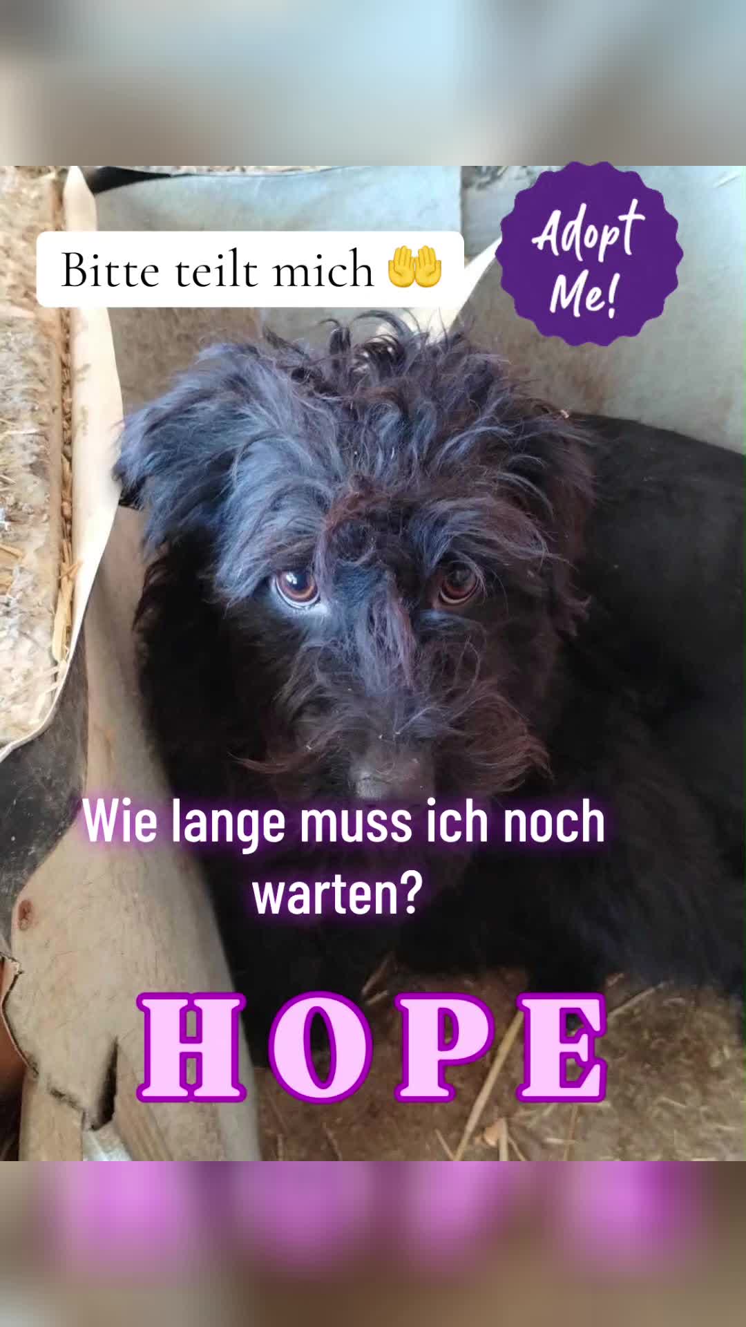 @Soulistas.Tierliebe