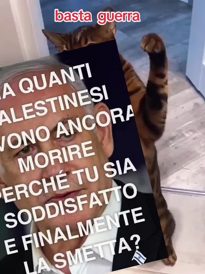 @Cicciolone CiccioGrill