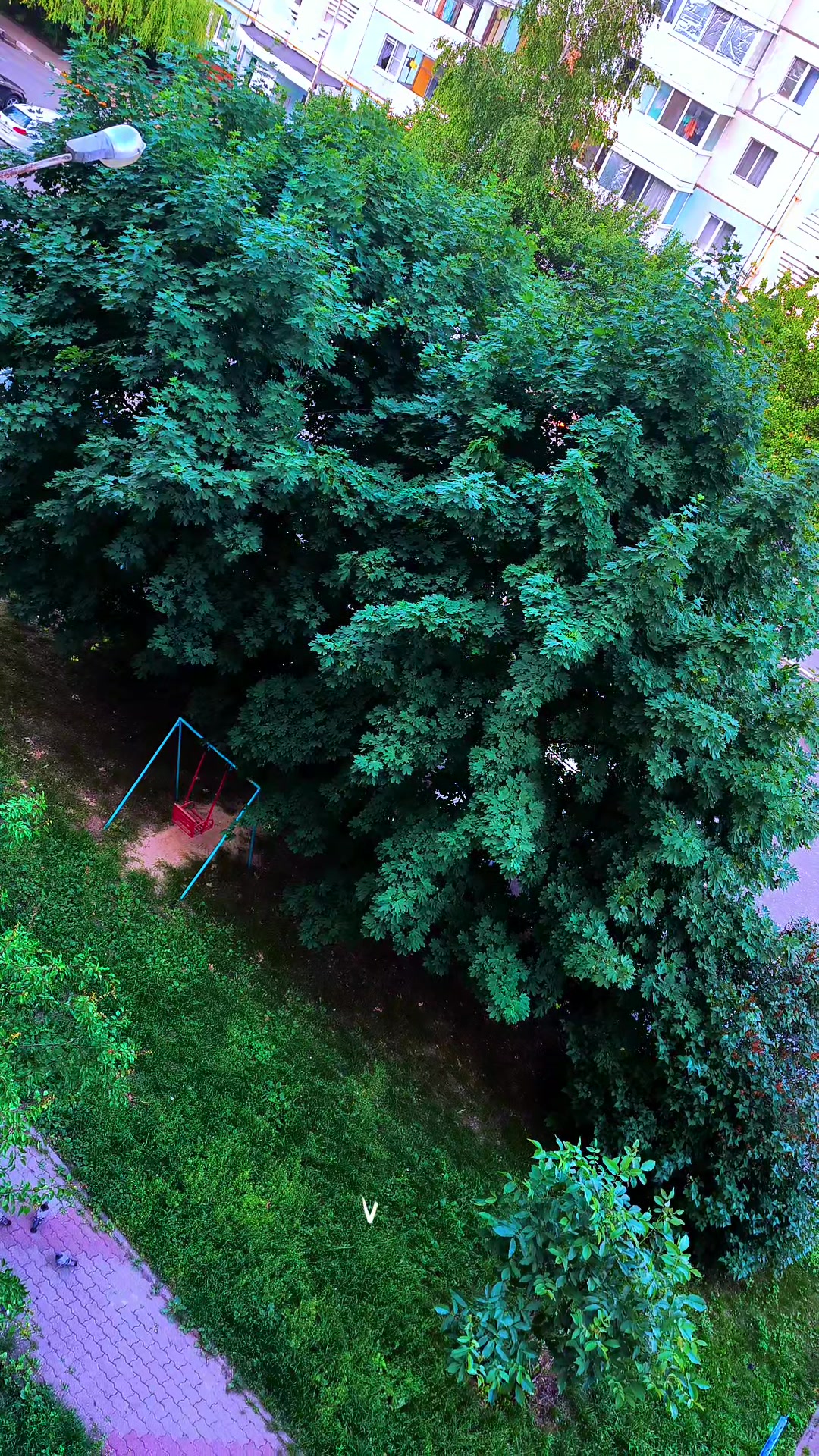 @🦂Леночка🐍