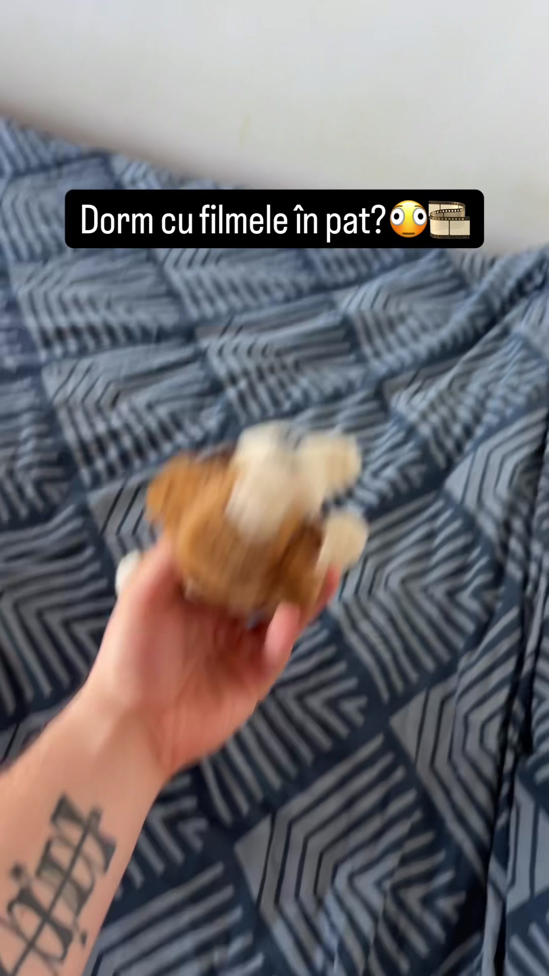 @NEGATIVESCU