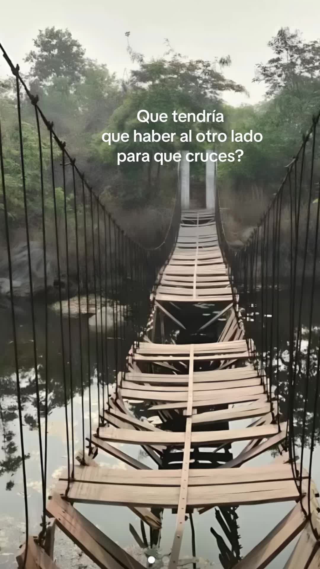 @Velia