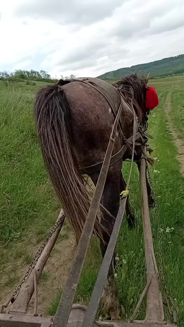 @Sebi Lazăr