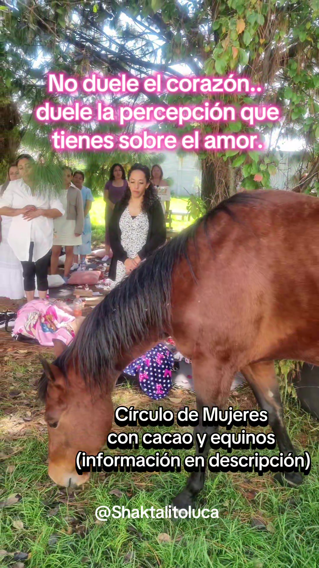 @Shaktali Energia del Coraz&oacute;n💕