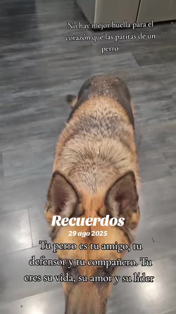 @💥A💥N💥G💥E💥L💥E💥S 🇪🇸🌟🌛