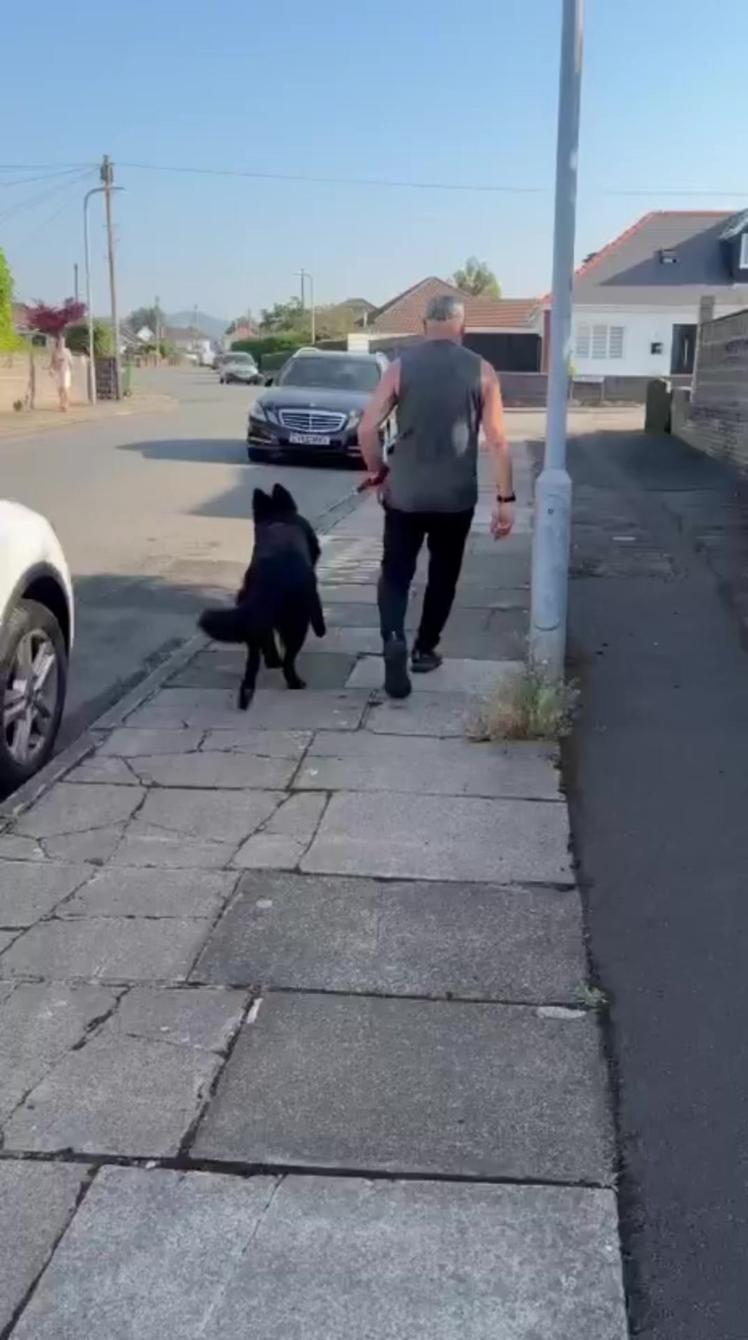 @Valleys Dog Training