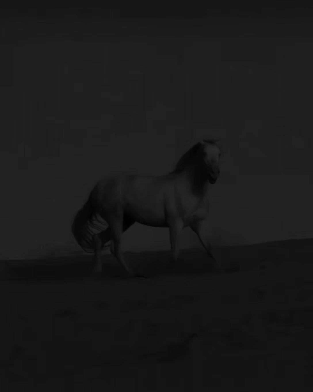 @𝐎𝐲𝐞_𝐁𝐚𝐠𝐡𝐢 𓀍