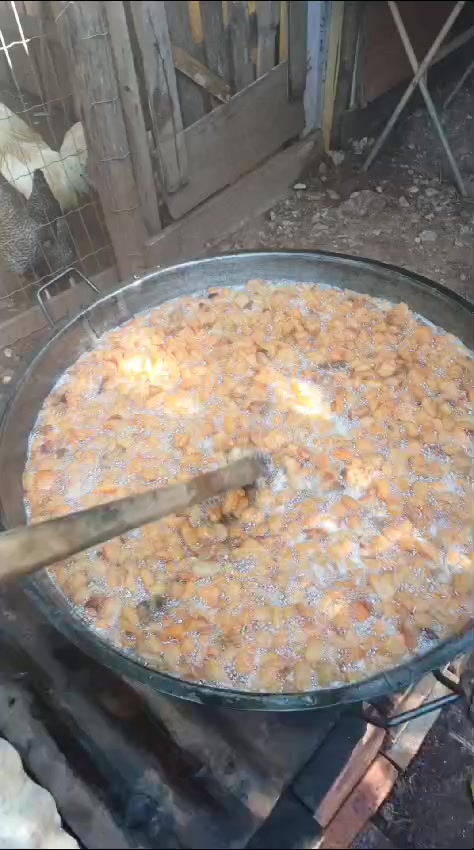 @baraldii