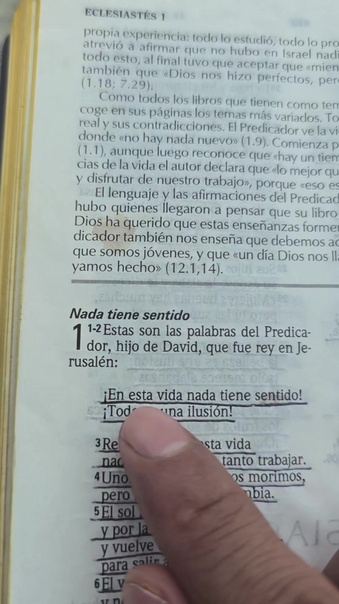 @Palabra de Dios
