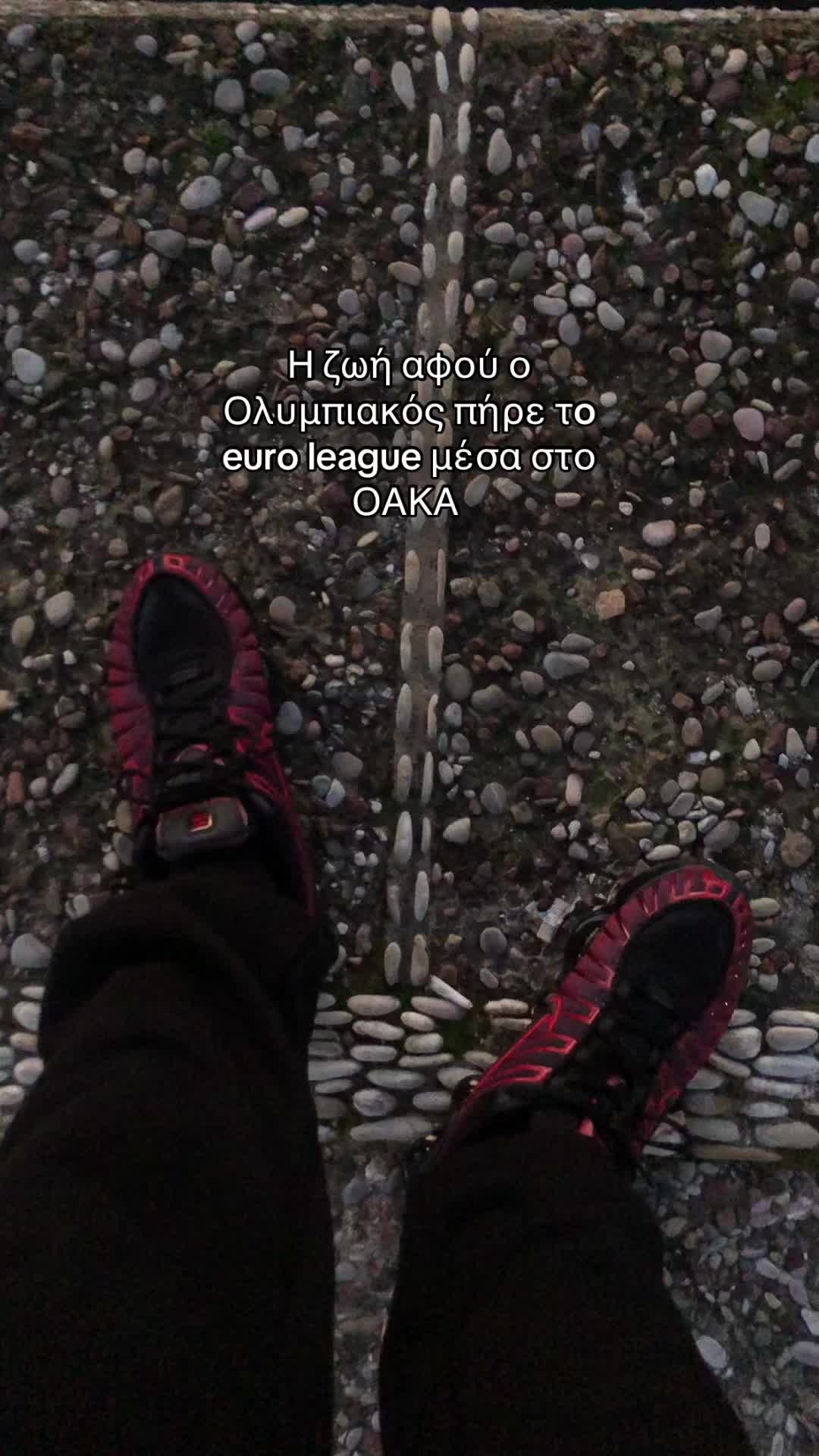 @chimpochapo