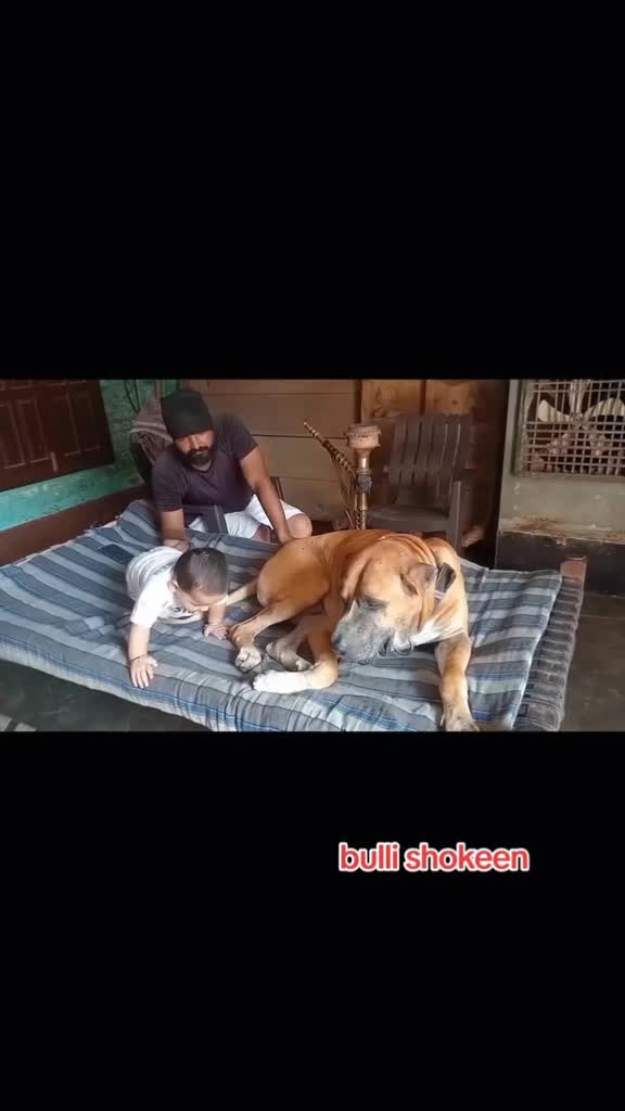 @bullishokeen2