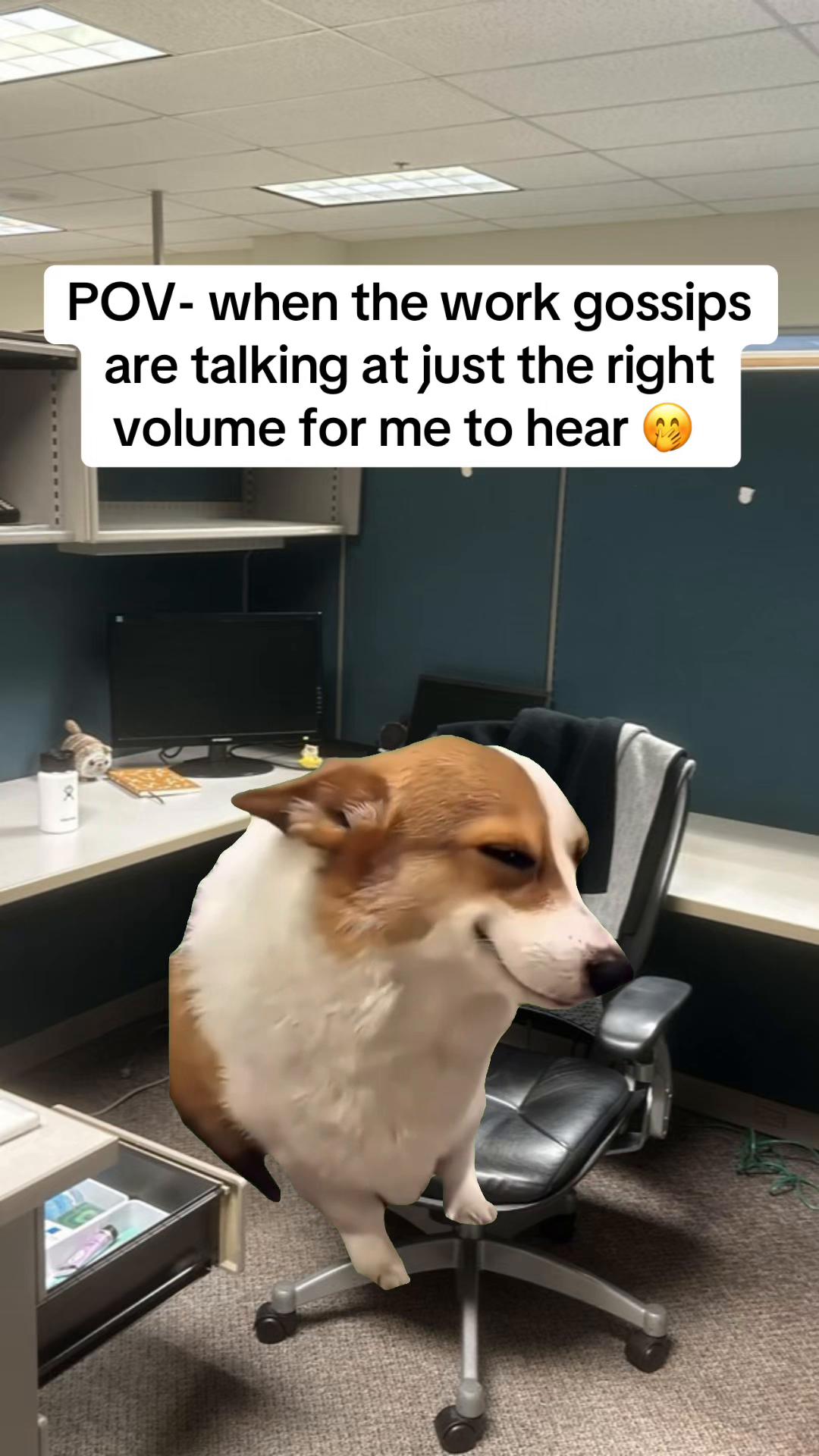 @WORK LIFE MEMES