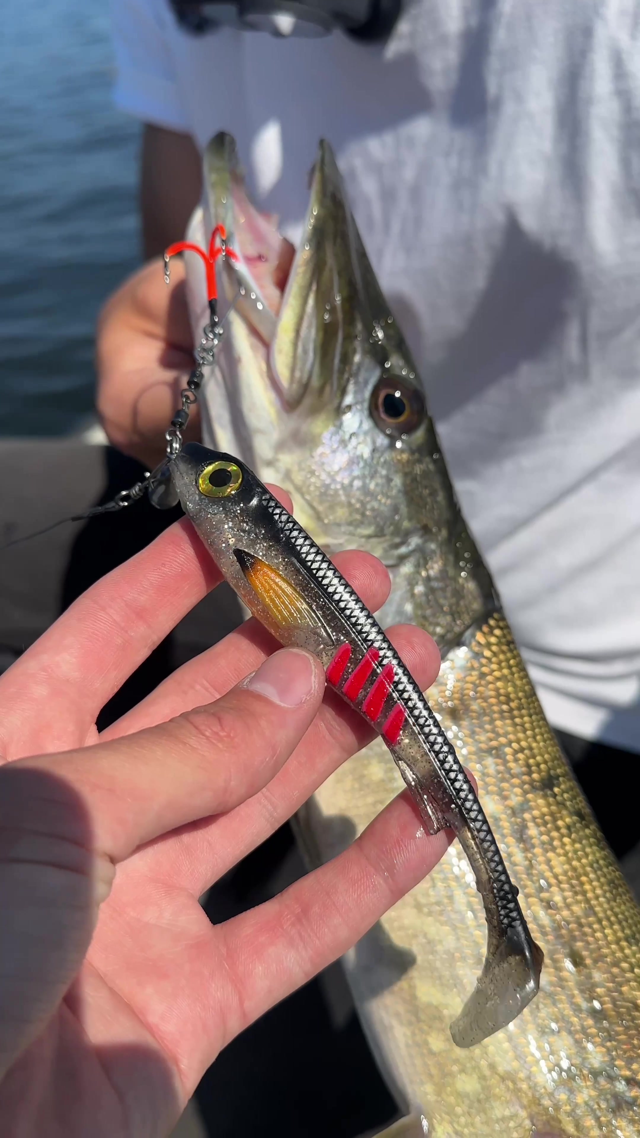 @AG Fishing