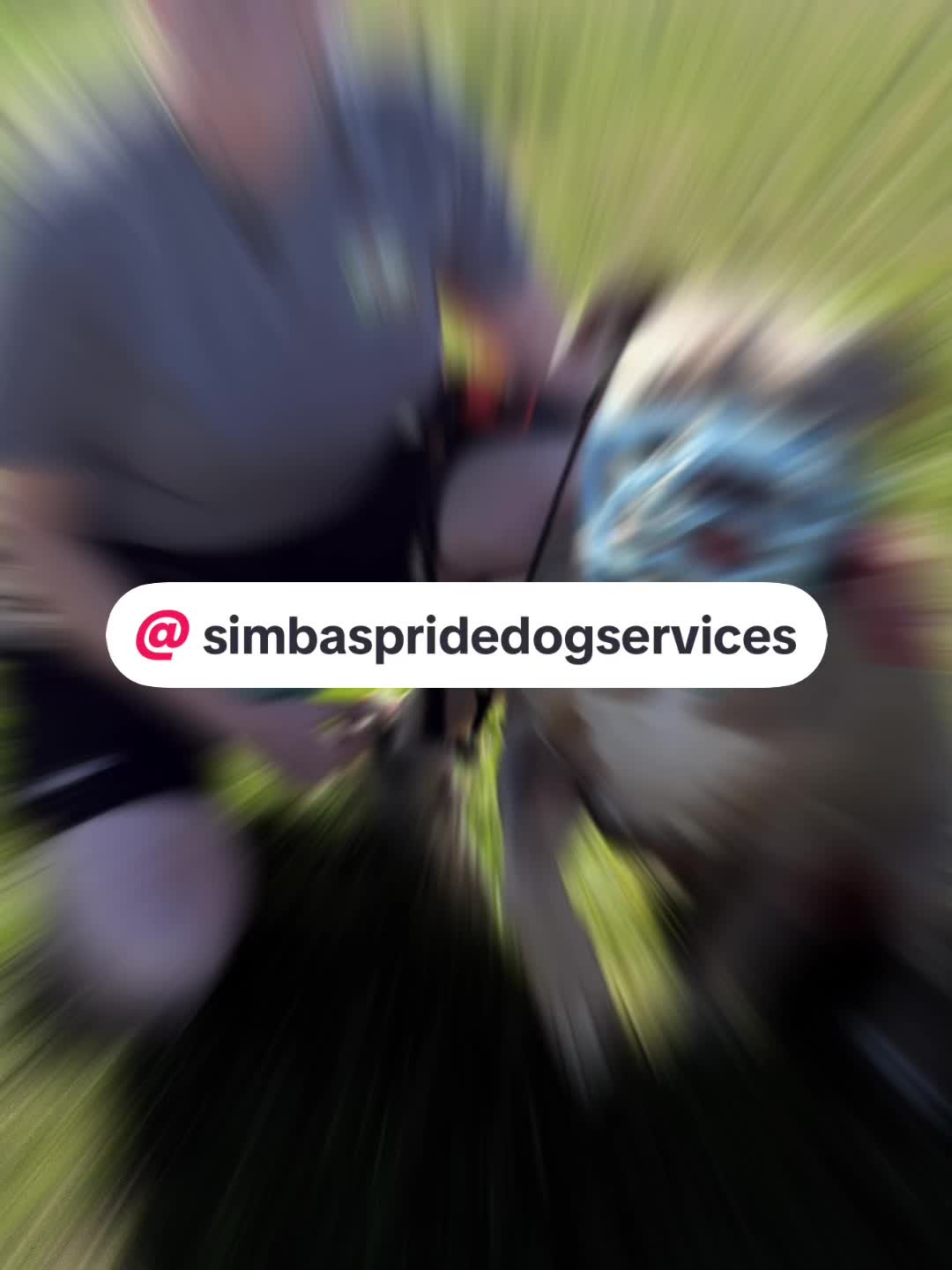 @simbathemerlepixiegirl