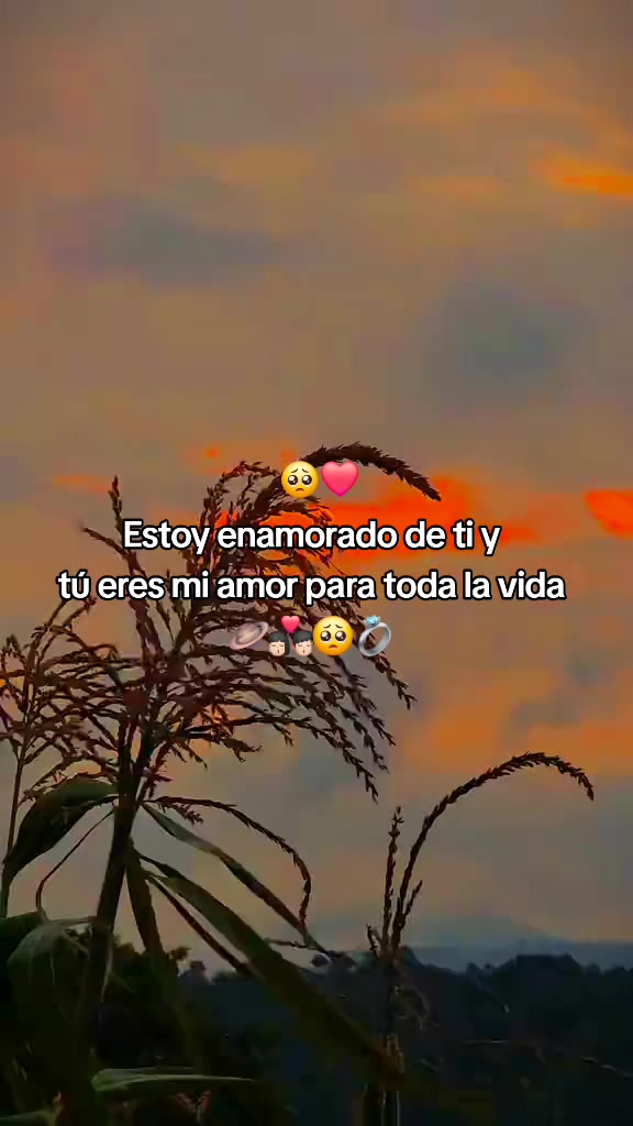 @🧸🪄 Frases para.t&iacute;✨️🧸