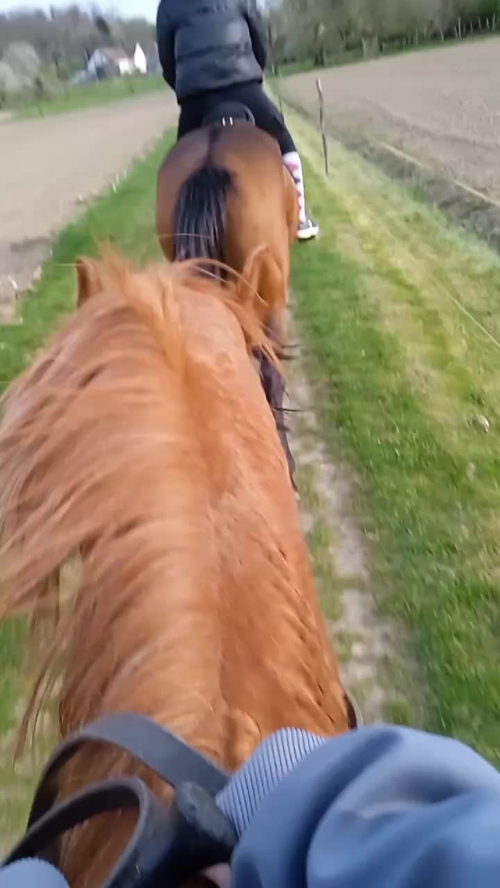@🌲Ga&aacute;l Vanda🌲