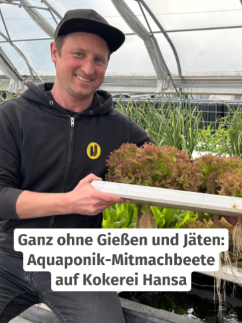 @WochenDOsis | WAZ Dortmund