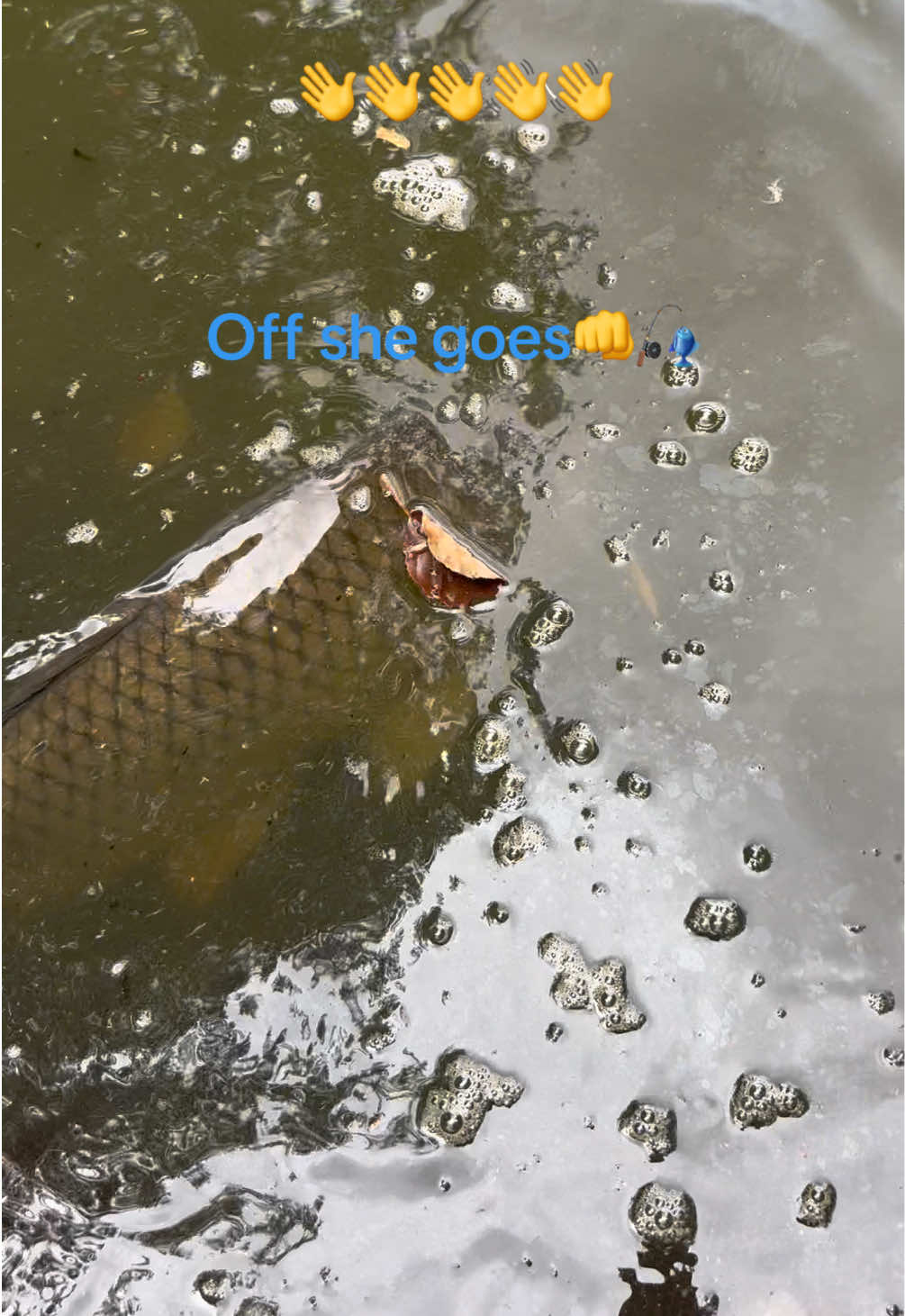 @reelsonwheels👊