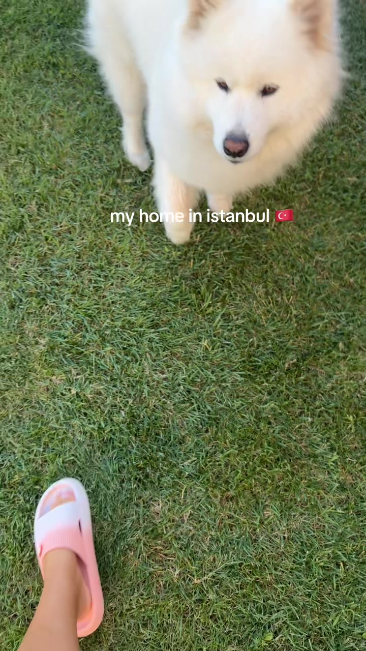 @erya