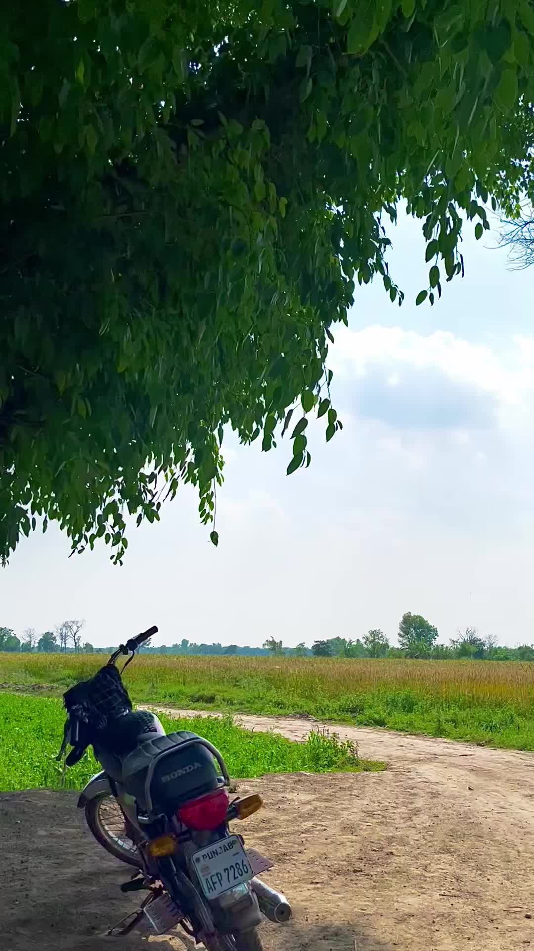 @دیسی _منڈا_😎