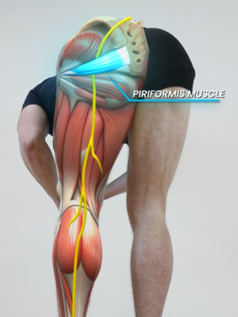 @Recover Pain